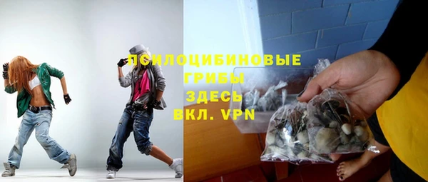 прущий лед Алексин