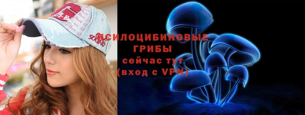 ешки Аркадак