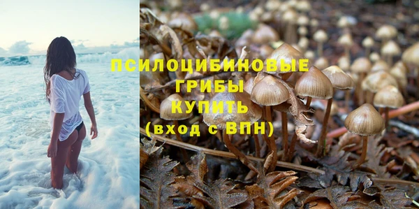таблы Арсеньев