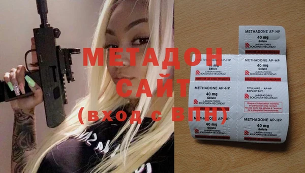 гидра Вязьма