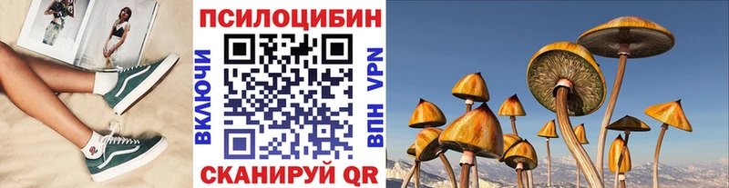 купить закладку  Сатка  Галлюциногенные грибы GOLDEN TEACHER 
